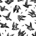 Seamless pattern of angry birds
