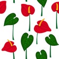 Seamless pattern with anthurium flowers and leaves. Royalty Free Stock Photo