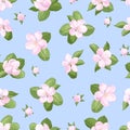 Seamless pattern with apple blossoms on a blue background Royalty Free Stock Photo