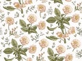 Seamless pattern Apple tree isolated flowers Vintage background Drawing engraving Vector illustration Royalty Free Stock Photo