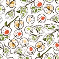 Seamless pattern with apples for the kitchen. Red, yellow and green apples on a branch. Fruit. Food. Royalty Free Stock Photo