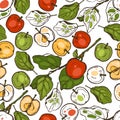 Seamless pattern with apples for the kitchen. Red, yellow and green apples on a branch. Fruit. Food. Royalty Free Stock Photo