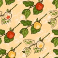 Seamless pattern with apples for the kitchen. Red, yellow and green apples on a branch. Fruit. Food. Royalty Free Stock Photo