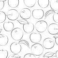 White and black seamless pattern of apples, leaves, fruits and flowers, 1000x1000 pixels. Royalty Free Stock Photo