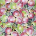 Seamless pattern, apples and pears, hand drawn pencil illustrations.