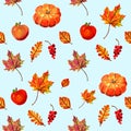 Nice warm seamless pattern with pumpkins, apples, autumn leaves and berries