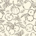 Seamless pattern with apples, vector. Fruits whole and halves, on a branch and leaves. Hand drawing sketch. Background Royalty Free Stock Photo