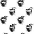 Seamless pattern with apples. Vector sketch