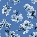 Seamless pattern of apricot blossom branch for celebration design on blue background.. Beautiful floral background. Isolated Royalty Free Stock Photo