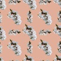 Seamless pattern of apricot blossom branch for celebration design on peach colour background.. Beautiful floral background. Royalty Free Stock Photo