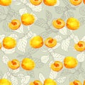 Seamless pattern with veicas and fruits of apricot berries Royalty Free Stock Photo