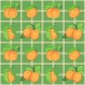 Seamless pattern with apricots