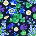 Seamless pattern with Aquilegia, Allium, Bellflower and Cornflower on blue background