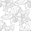 seamless pattern the aquilegia flower is blooming. vector illustration