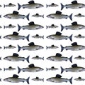 Seamless pattern with Arctic grayling fish isolated on white background. Seamless Pattern Freshwater fish. Amazing sports fish Royalty Free Stock Photo