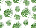 Seamless pattern with areca palm tropical seeded branch, green l