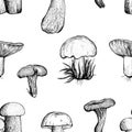 Seamless pattern with assorted mushrooms . Vector illustration