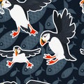 Seamless pattern atlantic puffin bird cartoon animal design flat vector illustration on blue background with fish