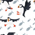 Seamless pattern atlantic puffin bird cartoon animal design flat vector illustration on white background with fish