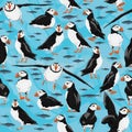 Seamless pattern with Atlantic puffin. Realistic Fratercula arctica or common puffin birds in different poses