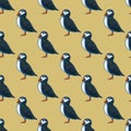 Seamless pattern atlantic puffin risograph illustration