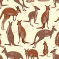 Seamless pattern with Australian big red kangaroo.