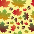 Seamless pattern of autumn background - maple leaves and chestnut Royalty Free Stock Photo