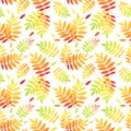 Seamless pattern with autumn colorful rowan leaves