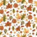 Seamless pattern of Autumn fall leaves,natural branches, colorful herbs, hand drawn in watercolor. Beauty elegant background Royalty Free Stock Photo