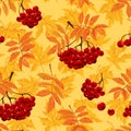 Seamless pattern with autumn leaves and ashberry. Vector illustratuon