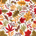 Seamless pattern with autumn leaves and berries. Colorful repeatable backdrop with oak, rowan and maple leaves and Royalty Free Stock Photo