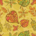 Seamless pattern.Autumn leaves and berryes.