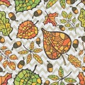 Seamless pattern.Autumn leaves and berryes.