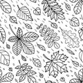 Seamless pattern with autumn leaves. Black and white linear image. Vector Royalty Free Stock Photo