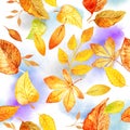 Seamless Pattern With Autumn Leaves Drawing By Watercolor, Hand Drawn Elements. Template For DIY Projects, Wedding
