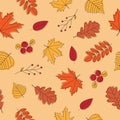 Seamless pattern of autumn leaves on light pink background. Line art colorful leaves. Doodle style. Background for Royalty Free Stock Photo