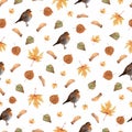 Seamless pattern with autumn leaves and little Robin bird.Colorful illustration.Watercolor handpainted texture on white background