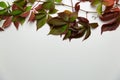 Seamless pattern of autumn leaves, lying on the ground. Royalty Free Stock Photo