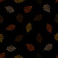 Seamless pattern of autumn leaves of northern red oak on a black background