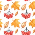 Seamless pattern with autumn leaves and rowan drawing by watercolor, hand drawn elements