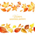 Seamless pattern of autumn leaves. two lanes.