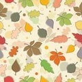 Seamless pattern of autumn leaves. Various leaves
