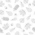 Seamless pattern of autumn leaves on white background. Line art design. Doodle style. Background for nature, eco and Royalty Free Stock Photo