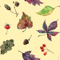 Seamless pattern autumn leaves wild grapes, oak, poplar, rose hips, acorns, linden, rowan bunch. Hand-drawn watercolor yellow back