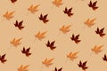 Seamless pattern autumn levitating maple leaf beige Royalty Free Stock Photo