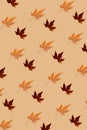 Seamless pattern autumn levitating maple leaf vertical Royalty Free Stock Photo