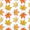 Seamless pattern, autumn maple leaves, black outline with pastel colors. Background, textile, print vector Royalty Free Stock Photo