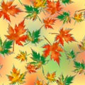 Seamless pattern of autumn maple leaves, on a colored spotted background. Saturated orange, red and green colors, gray shades