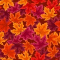 Seamless pattern with autumn maple leaves. Royalty Free Stock Photo