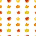 Seamless pattern with autumn maple leaves